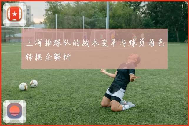 上海排球队的战术变革与球员角色转换全解析