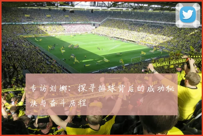 专访刘娜：探寻排球背后的成功秘诀与奋斗历程