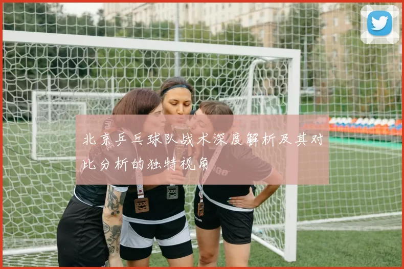北京乒乓球队战术深度解析及其对比分析的独特视角