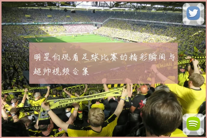 明星们观看足球比赛的精彩瞬间与超帅视频合集