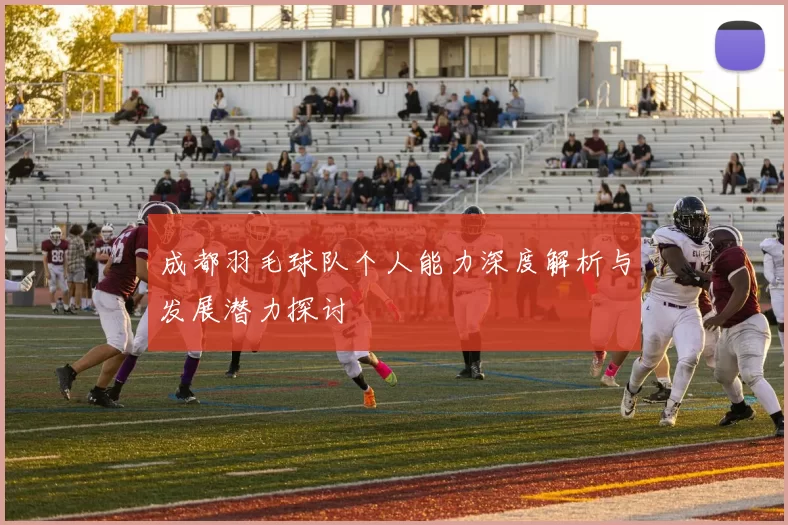 成都羽毛球队个人能力深度解析与发展潜力探讨