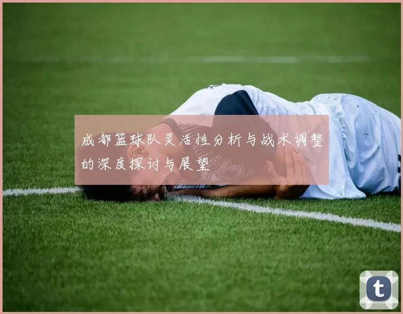 成都篮球队灵活性分析与战术调整的深度探讨与展望