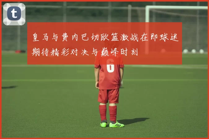皇马与费内巴切欧篮激战在即球迷期待精彩对决与巅峰时刻