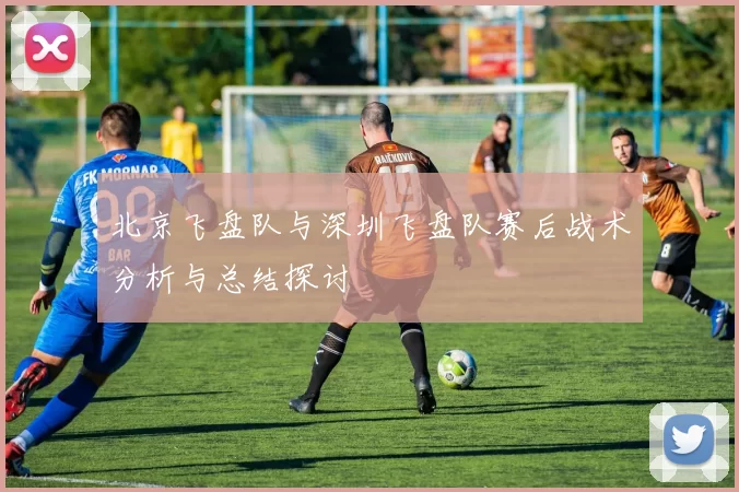北京飞盘队与深圳飞盘队赛后战术分析与总结探讨