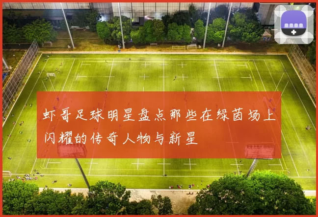 虾哥足球明星盘点那些在绿茵场上闪耀的传奇人物与新星