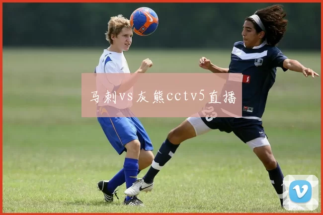 马刺vs灰熊cctv5直播