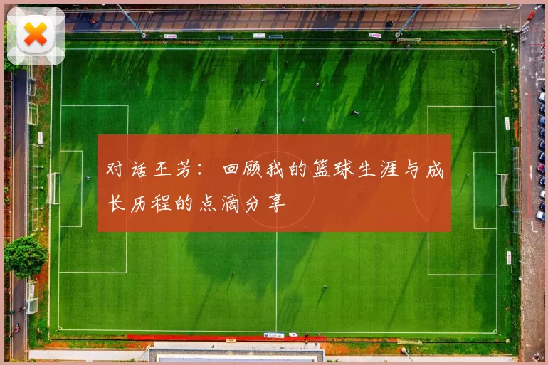 对话王芳：回顾我的篮球生涯与成长历程的点滴分享