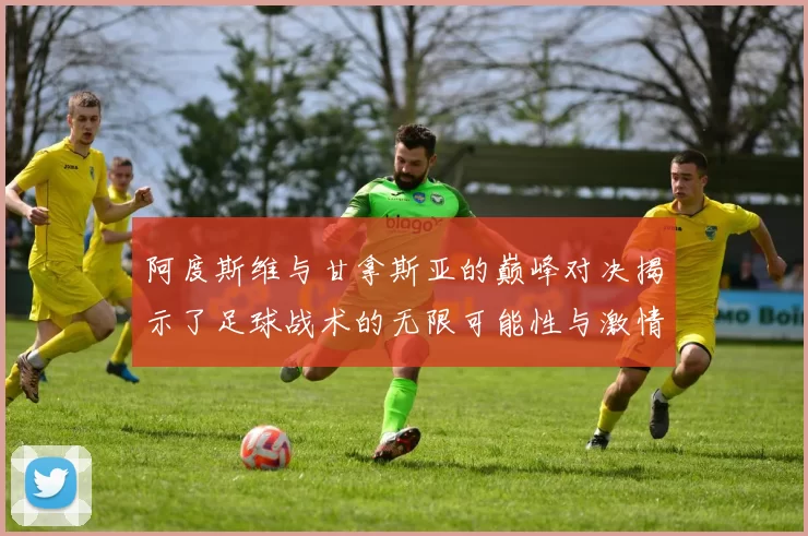 阿度斯维与甘拿斯亚的巅峰对决揭示了足球战术的无限可能性与激情碰撞