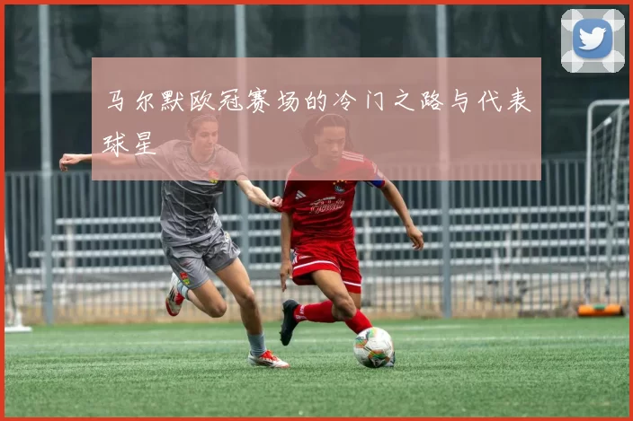 马尔默欧冠赛场的冷门之路与代表球星