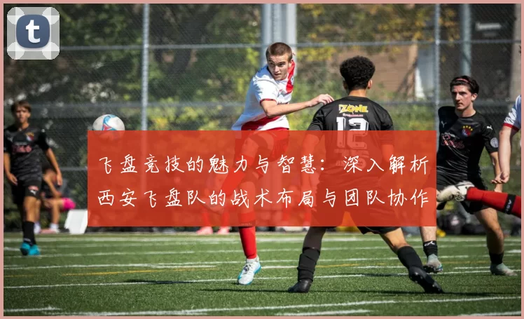 飞盘竞技的魅力与智慧：深入解析西安飞盘队的战术布局与团队协作