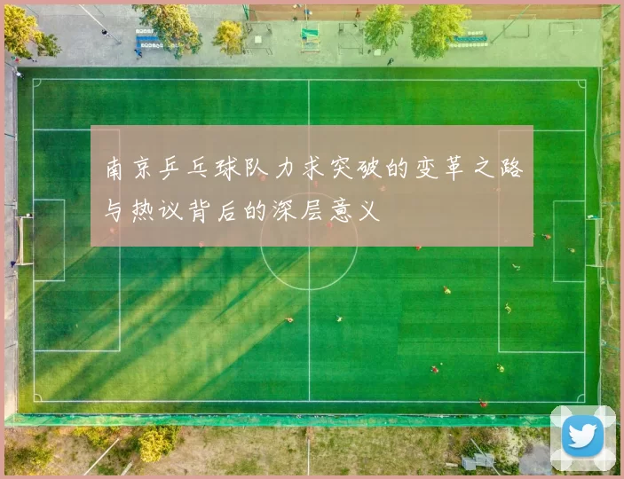 南京乒乓球队力求突破的变革之路与热议背后的深层意义