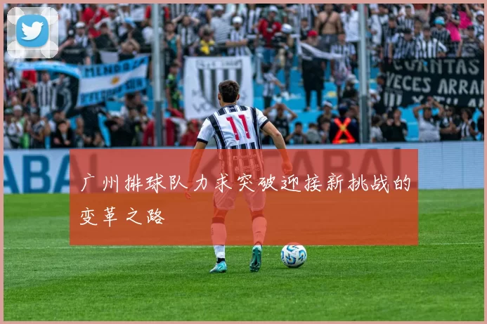 广州排球队力求突破迎接新挑战的变革之路
