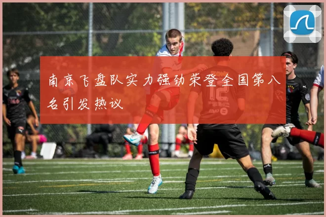 南京飞盘队实力强劲荣登全国第八名引发热议